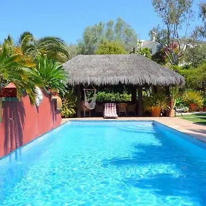 Casa Palmeras (adults Only) Hotel