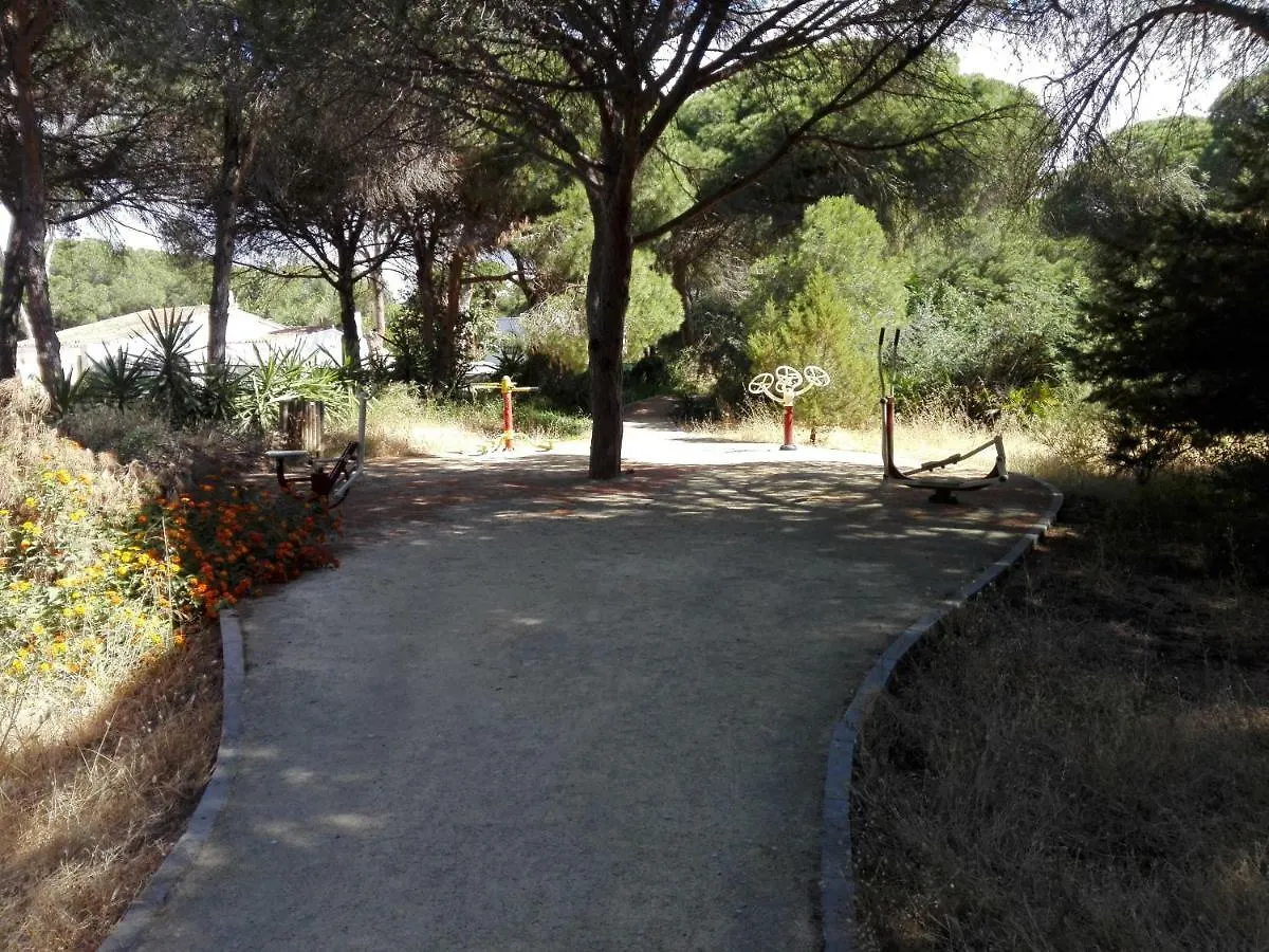 Apartamento En Los Patios De Santa Maria Golf Marbella